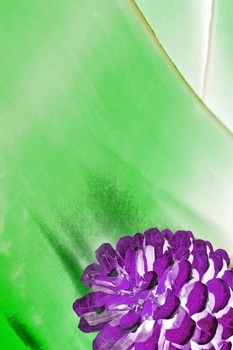 N 081B
